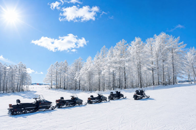 Departing from Sapporo: Furano & Biei Winter Day Tour | Shikisai-no-Oka Snow Play - What makes this winter route worthwhile