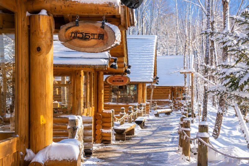 Departing from Sapporo: Furano & Biei Winter Day Tour | Shikisai-no-Oka Snow Play - From Sapporo, a full day in the snow