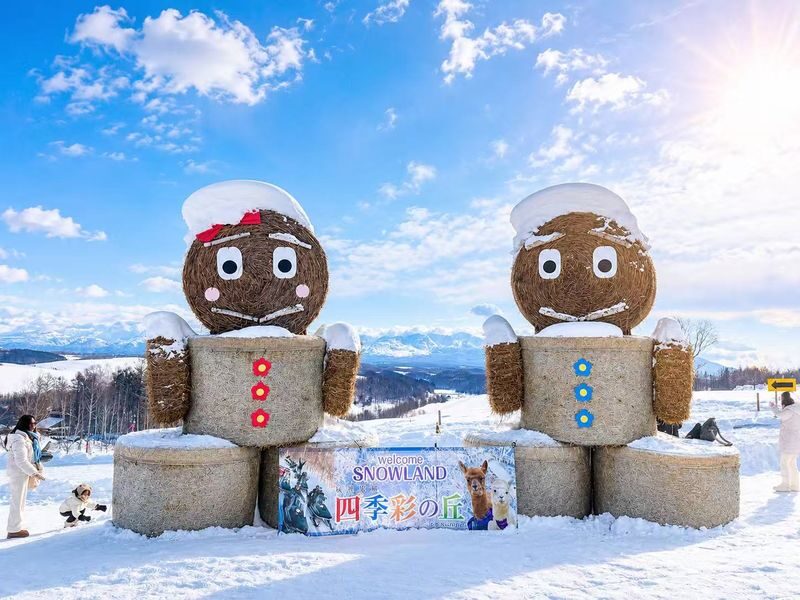 Departing from Sapporo: Furano & Biei Winter Day Tour | Shikisai-no-Oka Snow Play - Shikisai-no-Oka: the day’s snow-play window