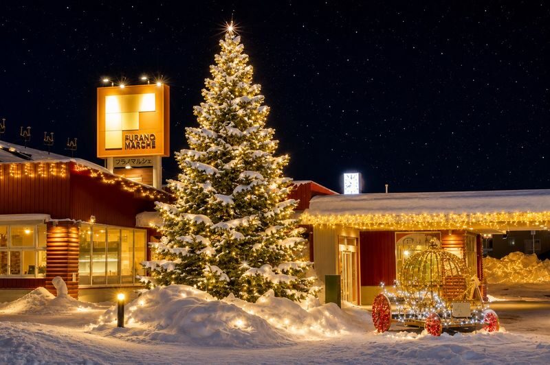 Departing from Sapporo: Furano & Biei Winter Day Tour | Shikisai-no-Oka Snow Play - What the price covers, and what it does not