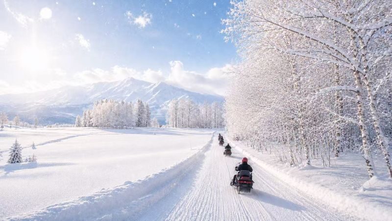 Departing from Sapporo: Furano & Biei Winter Day Tour | Shikisai-no-Oka Snow Play - Who should book this day trip?
