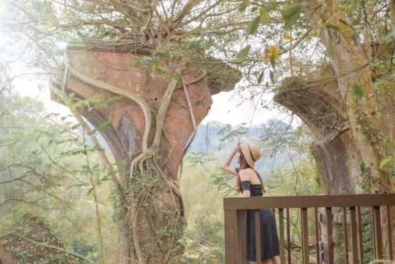 Departing from Taipei or Taichung: Deep travel in Miaoli - FAQs  