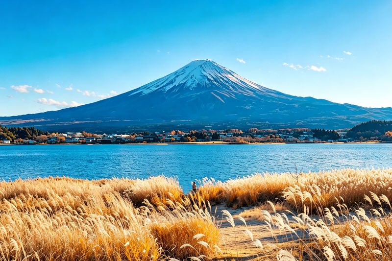 Departing from Tokyo: Full-Day Sightseeing Tour of Mount Fuji and Lake Kawaguchiko - Oshino Hakkai is the stop to protect time for