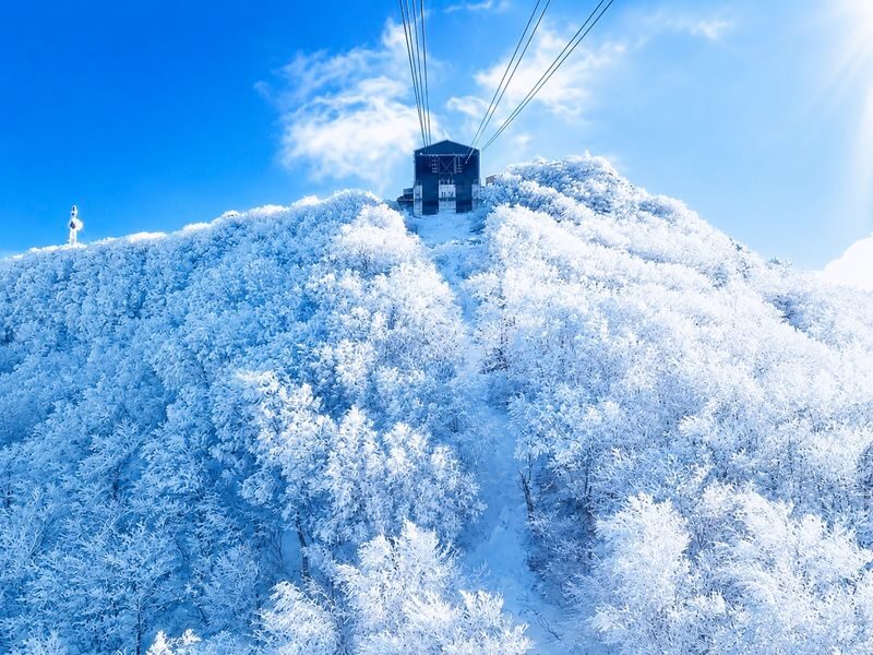Departing from Tokyo: Ginzan Onsen, Zao Snow Monsters, Fox Village, and Hot Spring Ryokan Two-Day Tour - A night at Kouunkaku