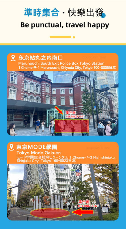 Departing from Tokyo: Mount Fuji 7 Major Scenic Spots Natural Scenery Day Tour - Photo stops, local snacks, and the value of a guide