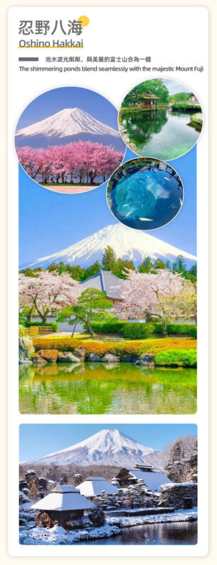 Departing from Tokyo: Mount Fuji and Lake Kawaguchiko 5 Major Attractions Day Trip - The trade-off: five sights, limited time