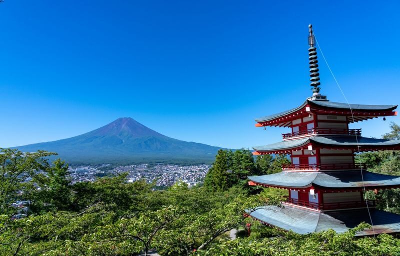 Departing from Tokyo - Mount Fuji Five Major Attractions Small Group Day Tour - What a five-stop Fuji day can do for you