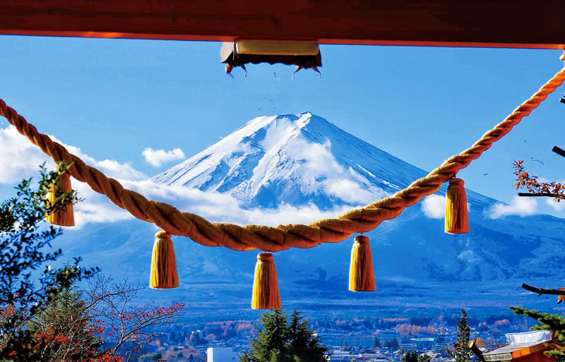 Departing from Tokyo - Mount Fuji Five Major Attractions Small Group Day Tour - A guide, a driver, and less transport guesswork