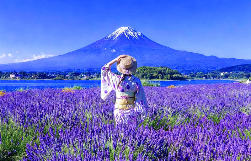 Departing from Tokyo - Mount Fuji Five Major Attractions Small Group Day Tour - Should you book it?