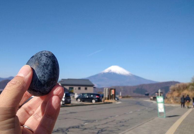 Departing from Tokyo: Mount Fuji Hakone Day Trip - Owakudani Ropeway, Hakone Shrine, Nichikawa Clock Shop, Arakurayama Sengen Park - Owakudani’s steaming vents and ropeway