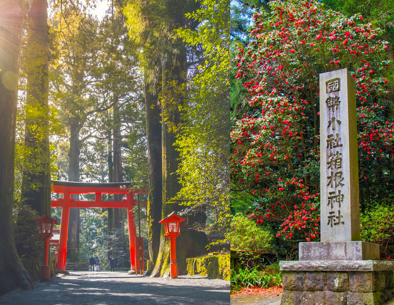 Departing from Tokyo: Mount Fuji Hakone Day Trip - Owakudani Ropeway, Hakone Shrine, Nichikawa Clock Shop, Arakurayama Sengen Park - Lunch without a forced stop