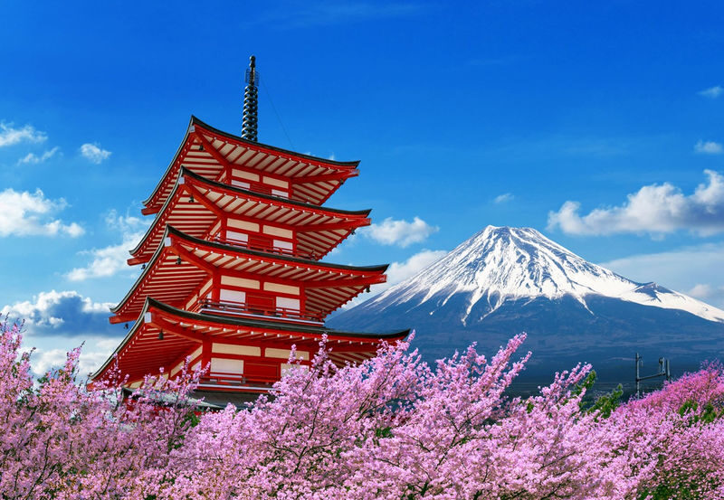 Departing from Tokyo: Mount Fuji Hakone Day Trip - Owakudani Ropeway, Hakone Shrine, Nichikawa Clock Shop, Arakurayama Sengen Park - A street that frames Mount Fuji