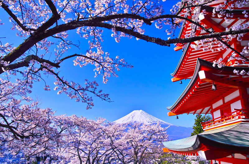 Departing from Tokyo: Mount Fuji Hakone Day Trip - Owakudani Ropeway, Hakone Shrine, Nichikawa Clock Shop, Arakurayama Sengen Park - What the price covers, and what it does not