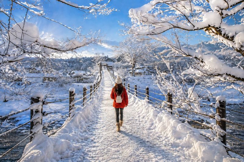 Departing from Tokyo: Shirakawa-go and Mount Fuji Scenic 2-Day Tour (Winter Illumination Optional) - Tokyo to the Japanese Alps: a full first day