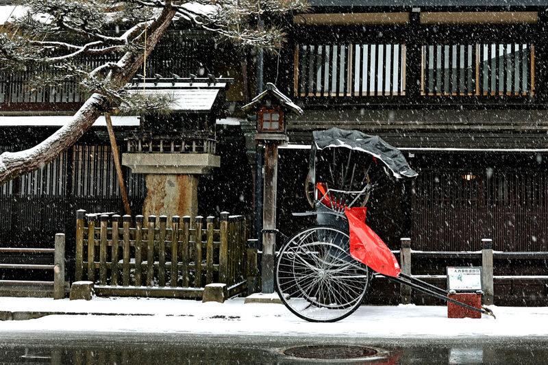 Departing from Tokyo: Shirakawa-go and Mount Fuji Scenic 2-Day Tour (Winter Illumination Optional) - Guides, transport and the pace of the trip