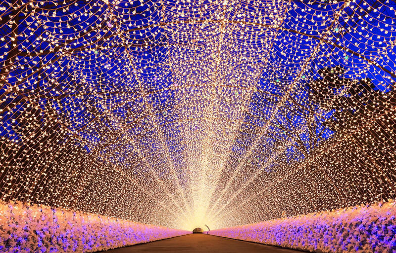Departure from Nagoya | Japans Largest Illumination Show, Nabana no Sato + Nagashima Outlet One-Day Tour - A garden of lights after an afternoon of shopping
