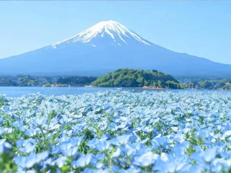 Departure from Tokyo: Mount Fuji  A Day of Encounters - Who This Tour Is Best For
