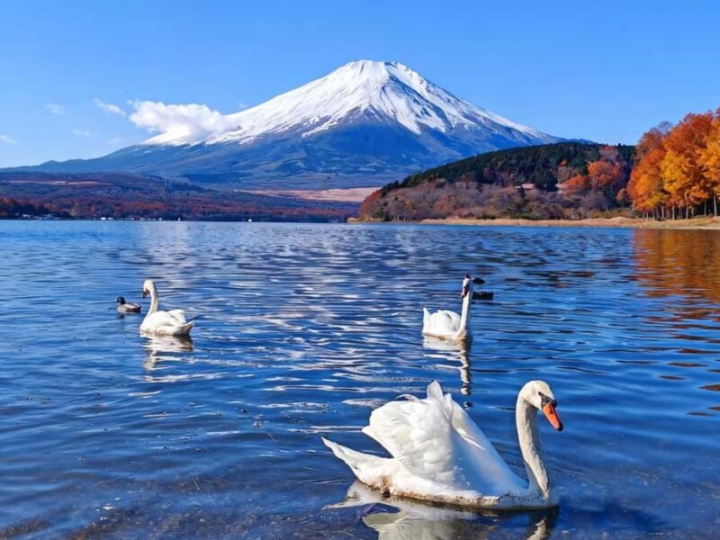 Departure from Tokyo: Mount Fuji  A Day of Encounters - FAQ