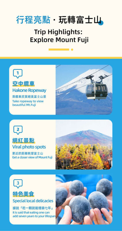 Departure from Tokyo: Mt. Fuji & Hakone Day Trip (Optional Bullet Train Return) - Lake Ashi from above, then by boat