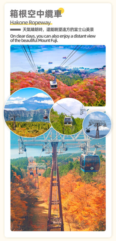 Departure from Tokyo: Mt. Fuji & Hakone Day Trip (Optional Bullet Train Return) - Who should book this Fuji and Hakone day?