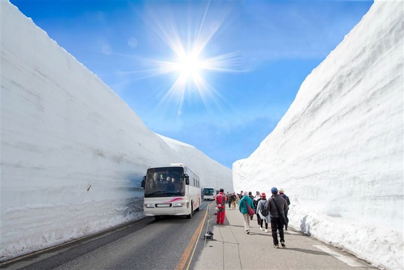 Departure from Tokyo: Tateyama Kurobe 3-Day Tour: Limited-Time Snow Wall Otani & Shirakawa-go Gassho-style Village & Hida-Takayama & Matsumoto Castle (Hot Spring Ryokan Stay) - Three days from Tokyo, with the Alps at the center