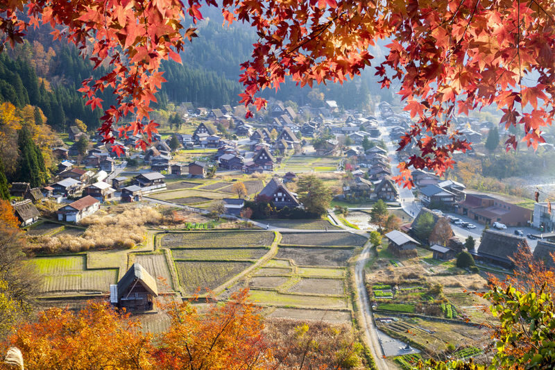 Departure from Tokyo: Tateyama Kurobe 3-Day Tour: Limited-Time Snow Wall Otani & Shirakawa-go Gassho-style Village & Hida-Takayama & Matsumoto Castle (Hot Spring Ryokan Stay) - What the price covers, and what it does not