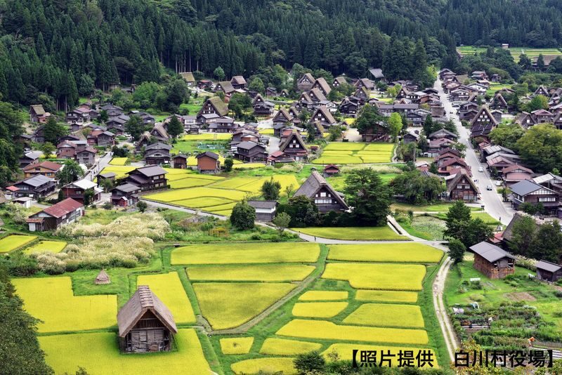 Departure from Tokyo: Tateyama Kurobe 3-Day Tour: Limited-Time Snow Wall Otani & Shirakawa-go Gassho-style Village & Hida-Takayama & Matsumoto Castle (Hot Spring Ryokan Stay) - Who will get the most from this tour