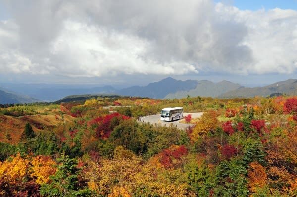 Departure from Tokyo: Tateyama Kurobe 3-Day Tour: Limited-Time Snow Wall Otani & Shirakawa-go Gassho-style Village & Hida-Takayama & Matsumoto Castle (Hot Spring Ryokan Stay) - Booking advice and final call