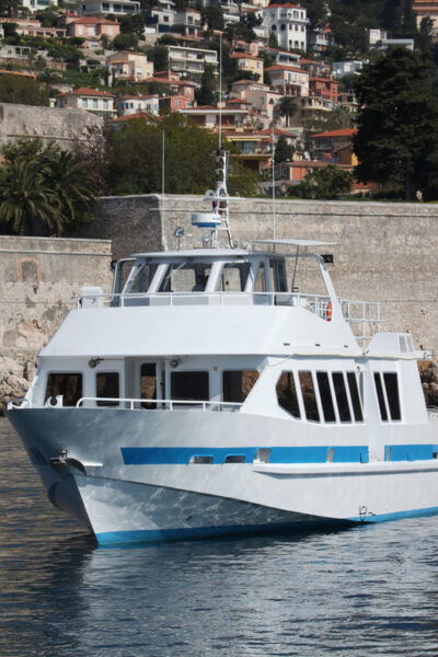 Departure From Villefranche-Sur-Mer: Meeting With the Dolphins - Questions You May Have