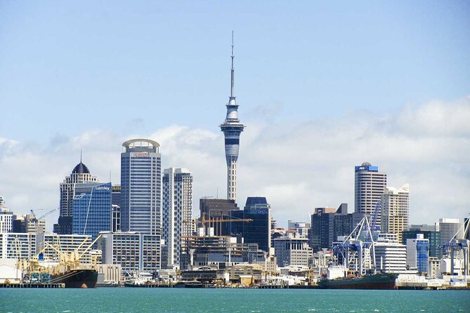 Departure Private Transfer From Auckland to Auckland Airport AKL in Business Car - Participation Requirements