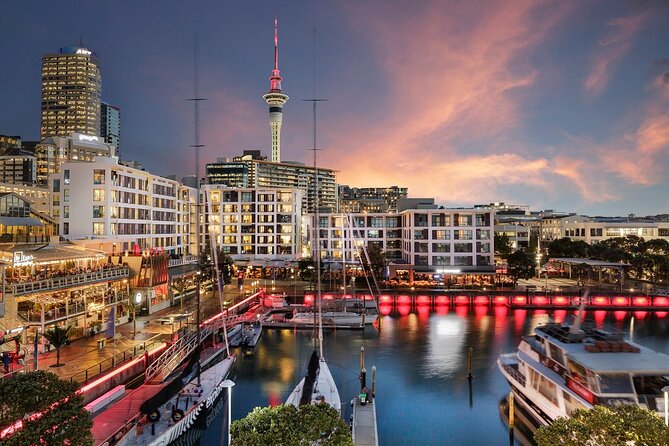Departure Private Transfer From Auckland to Auckland Airport AKL in Business Car - Private Tour/Activity