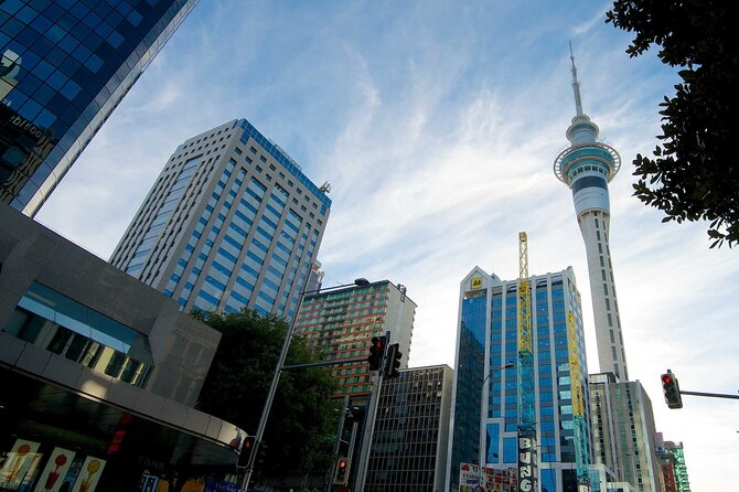 Departure Private Transfer From Auckland to Auckland Airport AKL in Business Car - Pricing and Terms