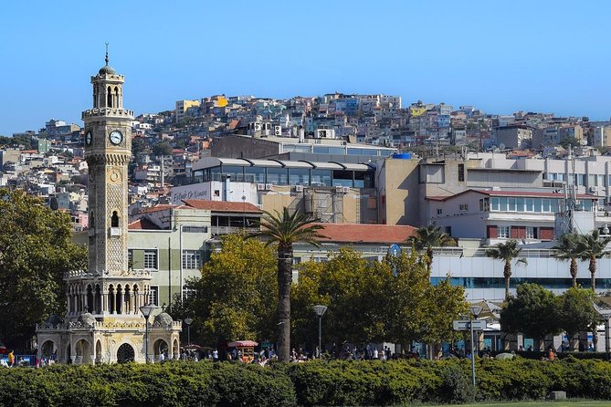 Departure Private Transfer Izmir to Izmir Adnan Menderes Airport ADB by Minibus - Accessibility and Luggage Restrictions