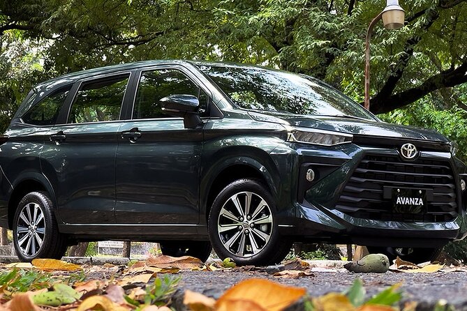 Departure Private Transfer Kuta to Bali Denpasar Airport DPS by Minivan - Booking Details and Requirements