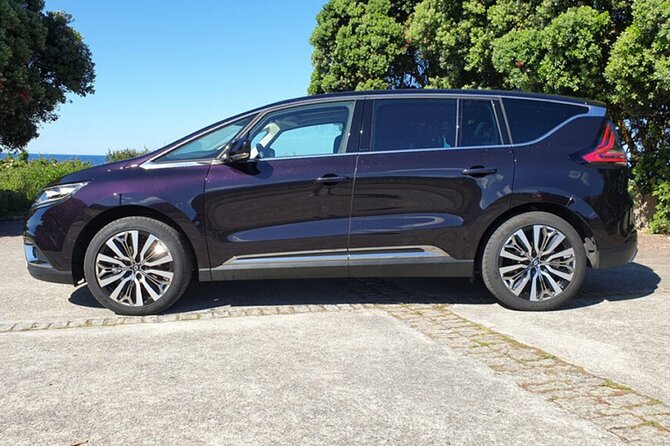Departure Private Transfer: Lourdes City to Lourdes Airport LDE by Business Car - The Sum Up