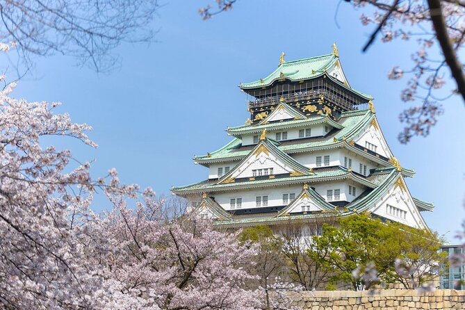 Departure Private Transfers: Osaka City to Kansai Airport KIX in Business Car - Operator and Cancellation Policy