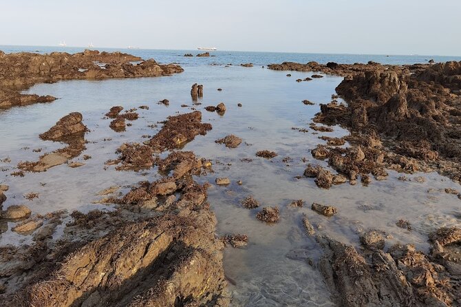 Desaru Beachlife & Tidepool Discovery - Traveler Requirements