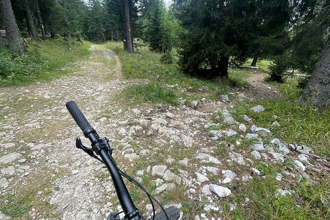 Descent of the Semnoz by Enduro Mountain Bike - The Sum Up