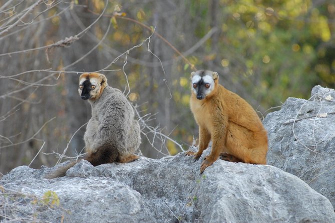 Descent River Trip With Canôe, the National Park of Tsingy of Bemaraha ( 8days ) - Transportation Details