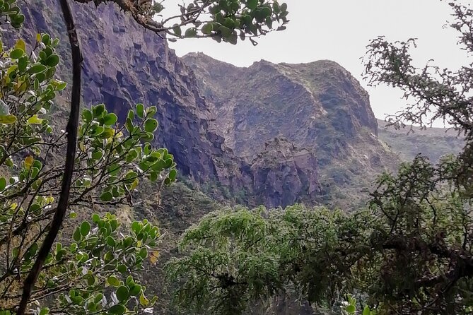 Descent to Caldeira Do Faial - the Perfect Adventure - Important Information for Participants
