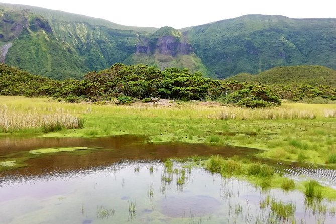 Descent to Caldeira Do Faial - the Perfect Adventure - Cancellation Policy and Weather Conditions