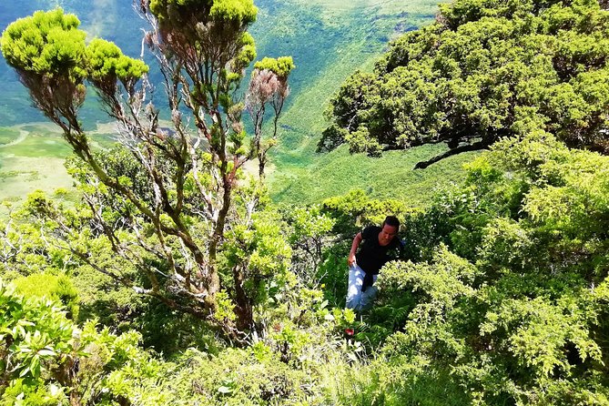 Descent to Caldeira Do Faial - the Perfect Adventure - Traveler Reviews and Ratings