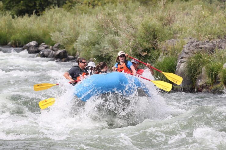 Deschutes River Half Day Trips - Experience Highlights