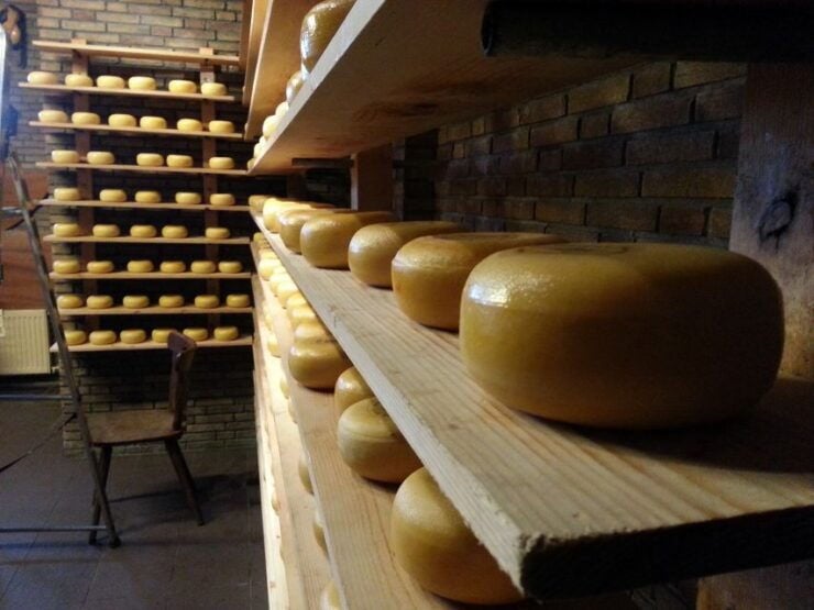 Desde Ámsterdam: Tour De Los Molinos De Viento De Zaanse Schans En Español. - Detalles De La Actividad