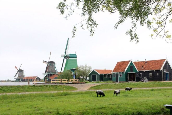 Desde Ámsterdam: Tour De Los Molinos De Viento De Zaanse Schans En Español. - Selección De Participantes Y Fecha
