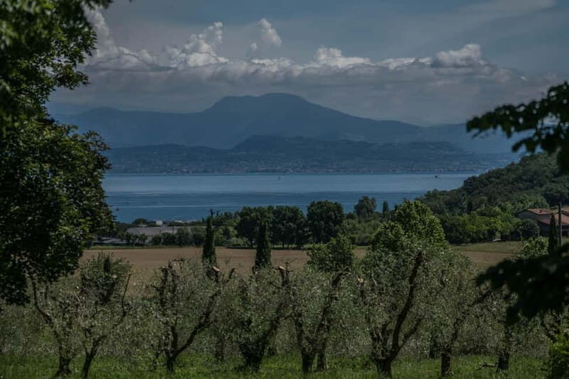 Desenzano d/G: guided bike day trip + selected wines, cooking class - Good To Know  