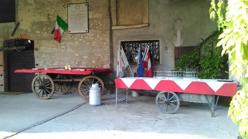 Desenzano d/G: guided bike day trip + selected wines, cooking class - The Sum Up  