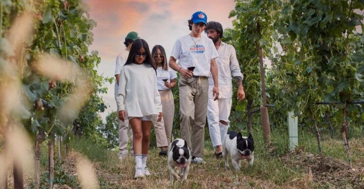 Desenzano Del Garda: Lugana Wine Tasting in the Countryside - Good To Know
