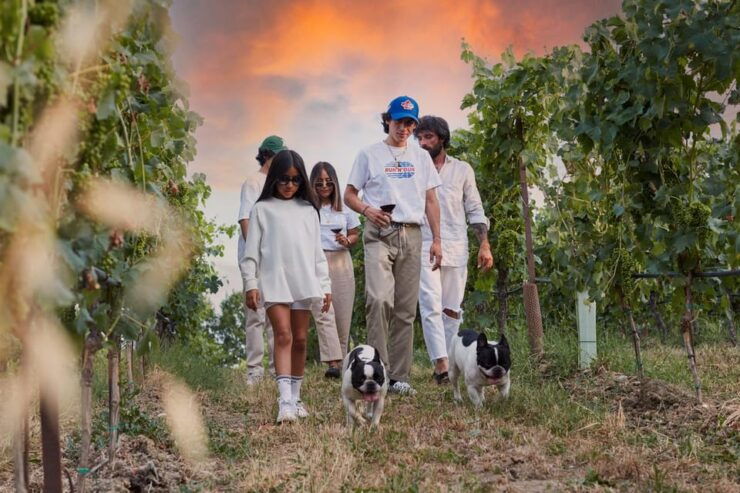 Desenzano Del Garda: Lugana Wine Tasting in the Countryside - Explore Sparkling Wine Quarries