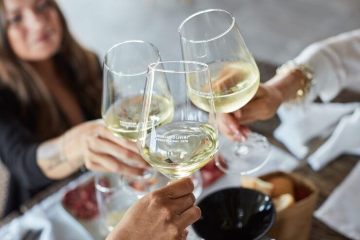 Desenzano: Tasting of Lugana Wines With Vineyard Tour - Booking Details
